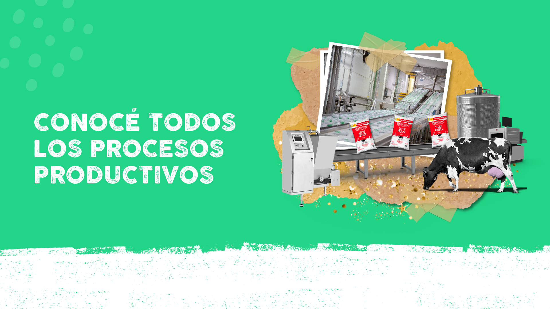 Mesa de trabajo 4